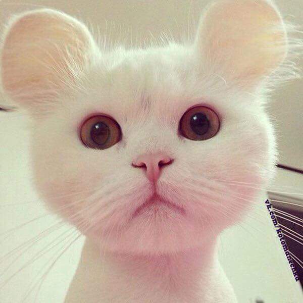 ����-����