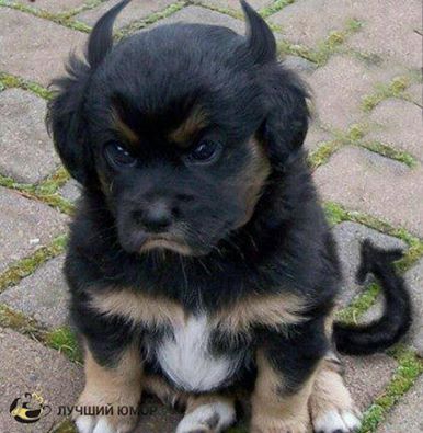 ��������� �����������!