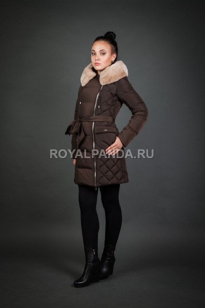 ���� �������. ����������. ��������� ���� �� ��������� �����.