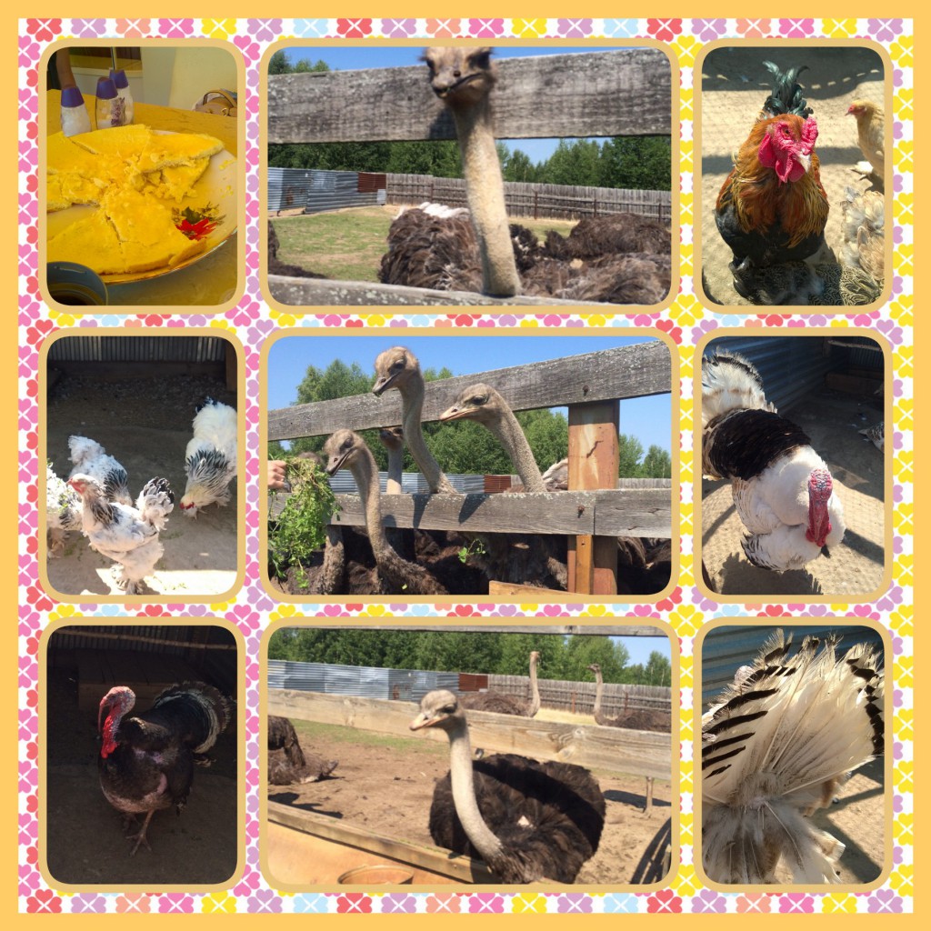 ����������� ��������� ��� � ����������.