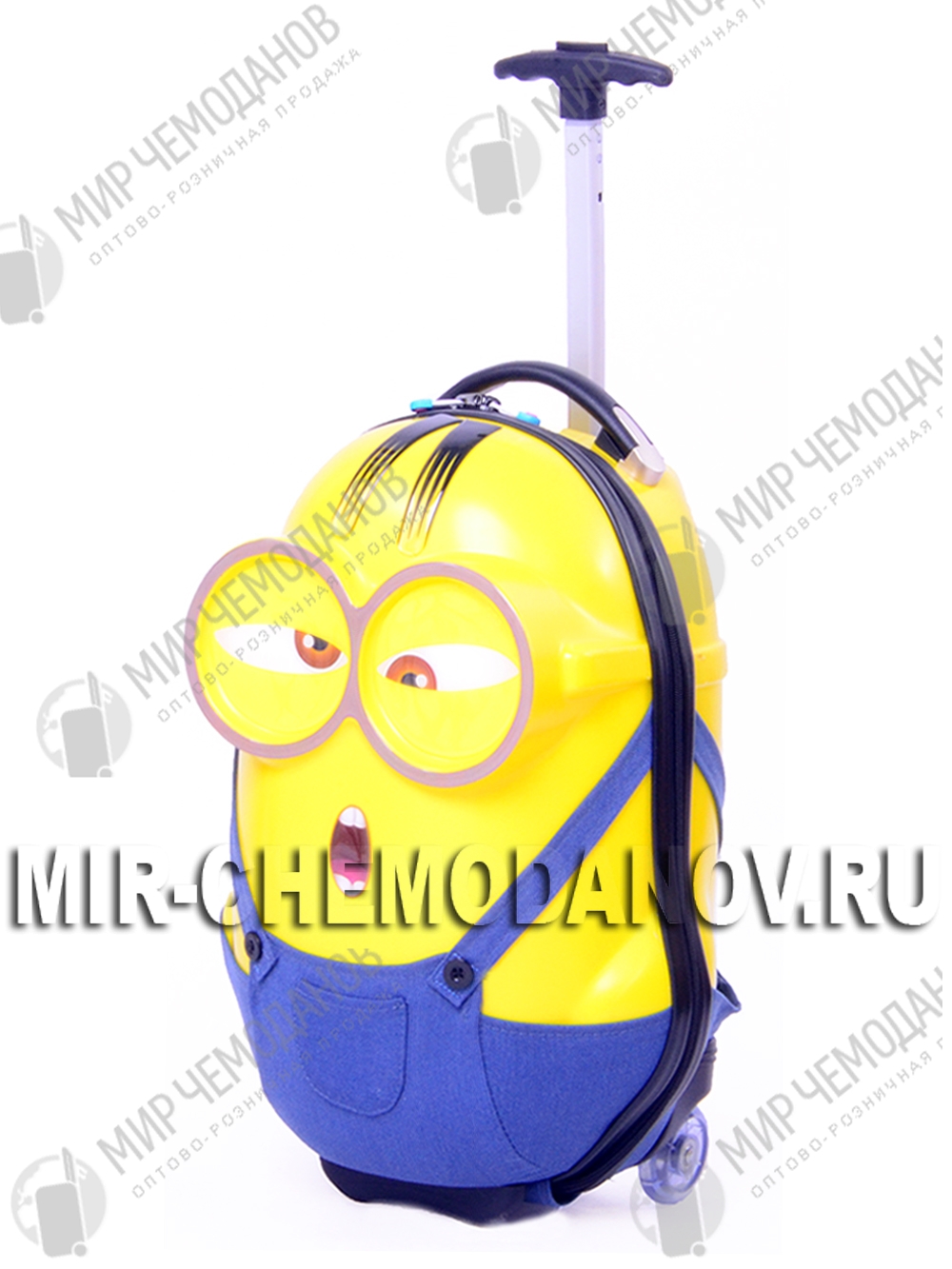 ���� -�������� ��������, �����, �����, �������