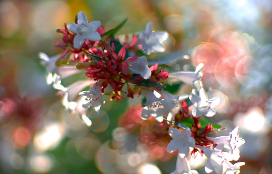 ����� �� ��������� - �����. �� �������� ���������? ������� �����.