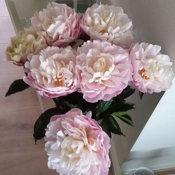 ���� �������. ��������� ����� 2016. �������� ����������� ����� .