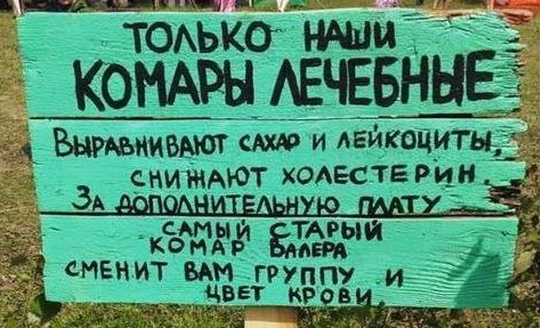 ���� ����������