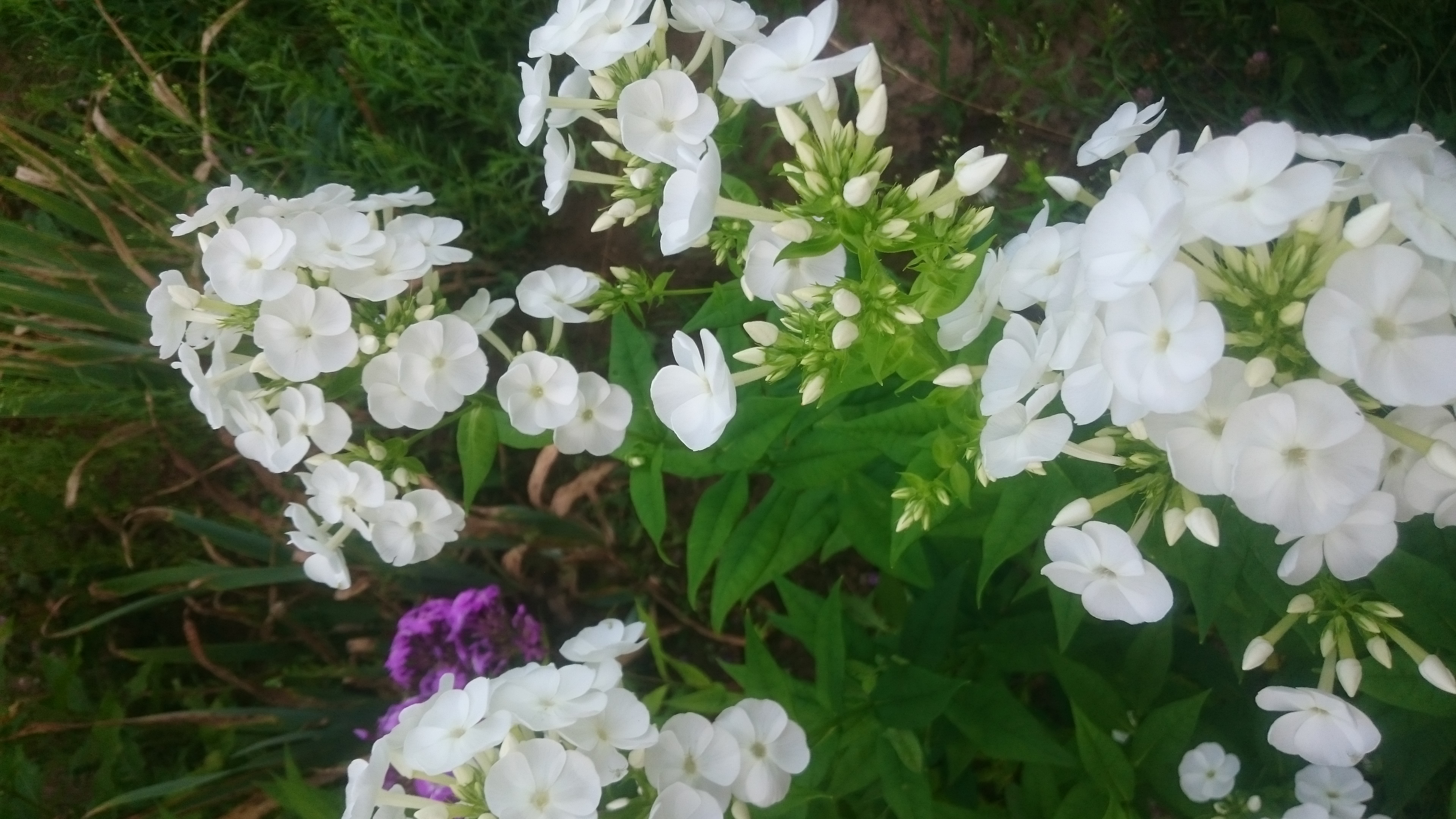 ������ � ����� ���� ������ ����� �� ����� ������)