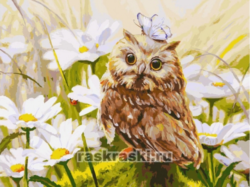 ���� �������. ��������� �� �������, ����, �����, ����������, ���������, �����. �������� �������. ������� �� �������, ������ ��� ������������, ���������, �����! 23