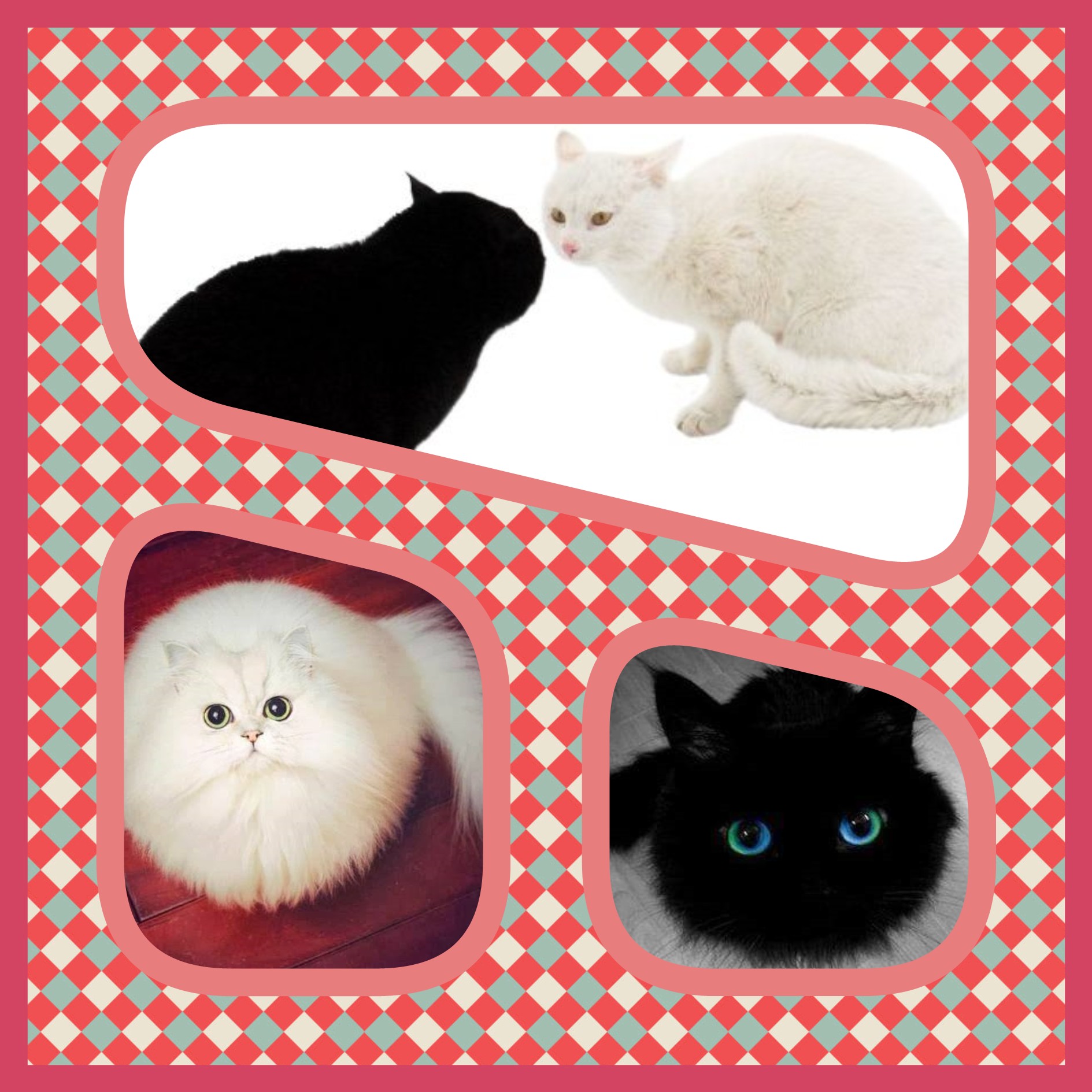 ����� �������...