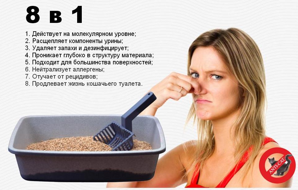 ���� �������. ����� ���� - ��� �� ����� � ������ �������� ��������! ������� ���������� ������ � �������������! ����� 1