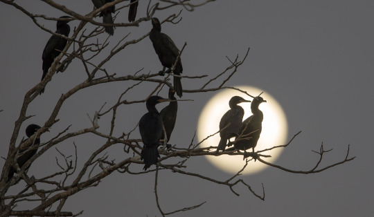 �������� ������ ����������� � ���������. ��� ������, ��� ��� ���� ������, ��� ������ ������ ����...