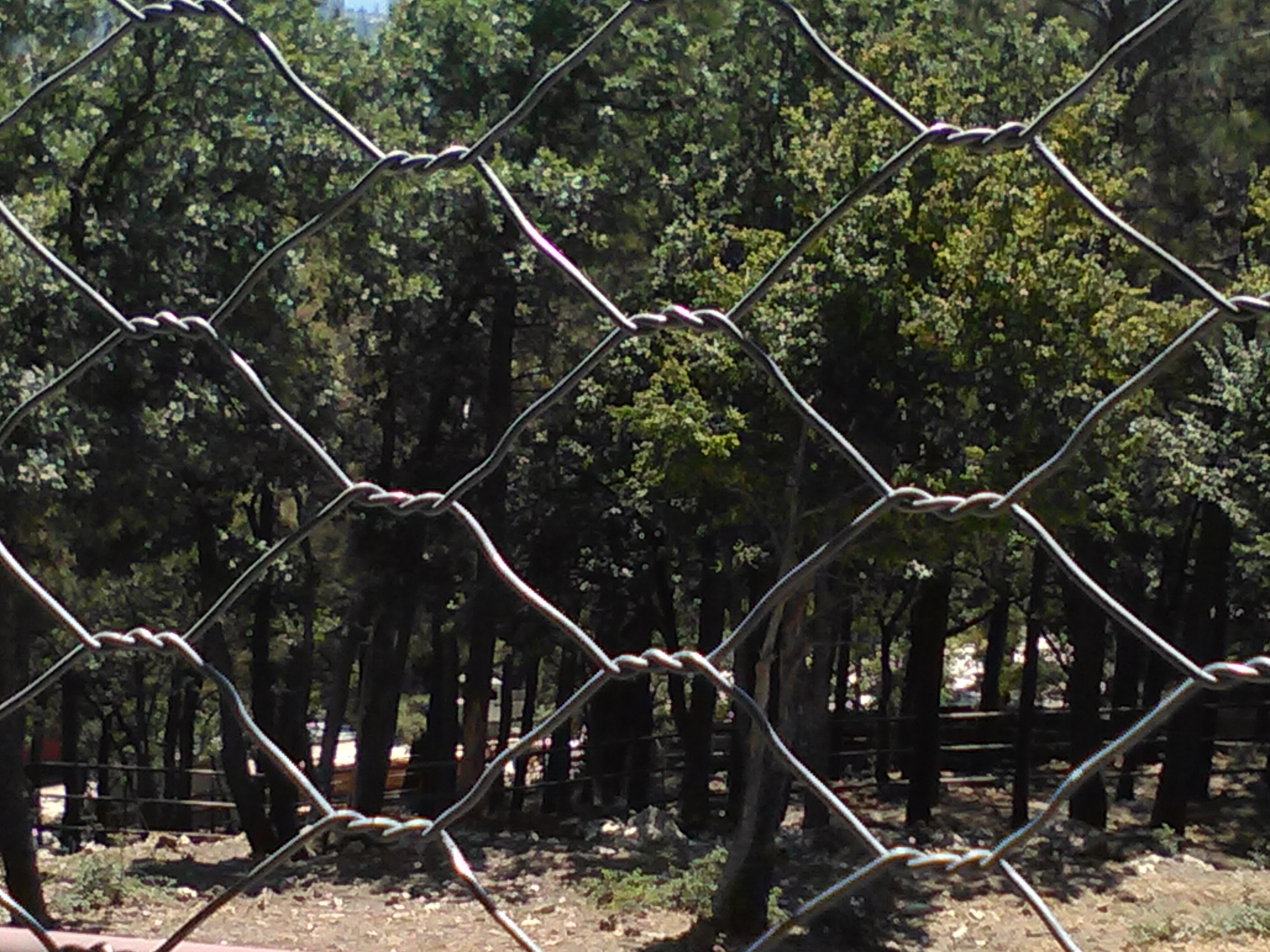 �� ��� �� ������ �����...