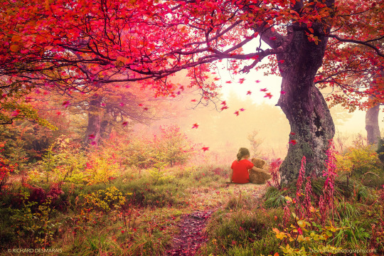 ������ ������ ��������� �������� ������ ������ ���� ����������. (�) ��������.