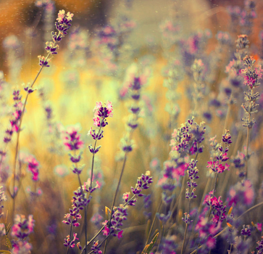 �������, ���������� ������, ������� �� ��������� ��� ����� ����� � ���������, ������ ��� ����� ���� ���������� ����...