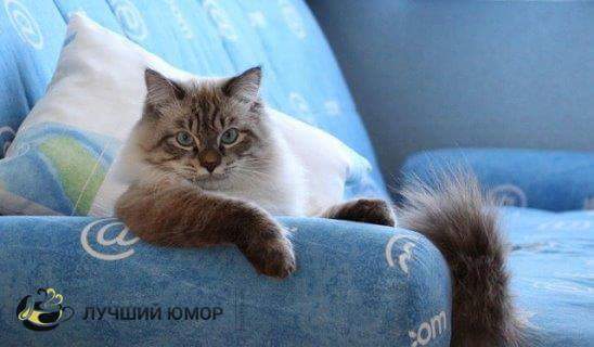 - �� �� ������, ��� ����� ������ � �������� ���������? - ����... �� ������....