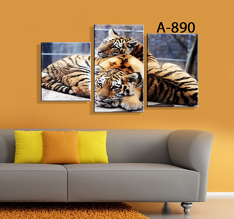 ���� �������.����� ���������-2! ��������� ������� �� 800���, ���� �� 200���, �����, ������� ���������. �ӣ �������!!