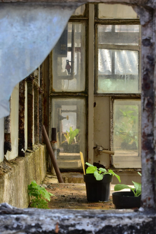 � ������ ������ �� �������...