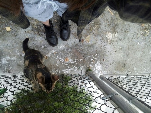 ���� � ������ �� ���, � ����� �����...