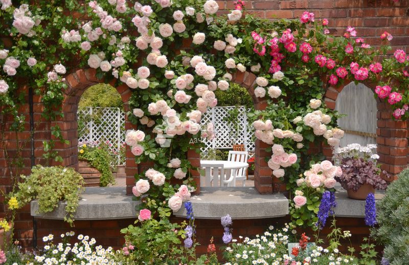 ������� ��� �� ��������� ��������� Rasadnik Topalovic �� ����� �����2017