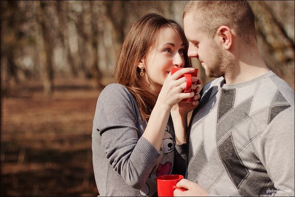 ����� ������� �������� ���� �����