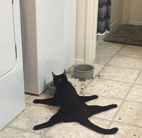 ������� ����