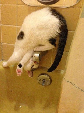 ������� ����