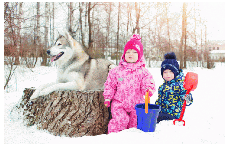 ���� �������.��� ����������! ������� ��������� �����! ������� ������� ������ �� ���������� ����� ��������� ���� 2016! ������������ ������� �����! � 2