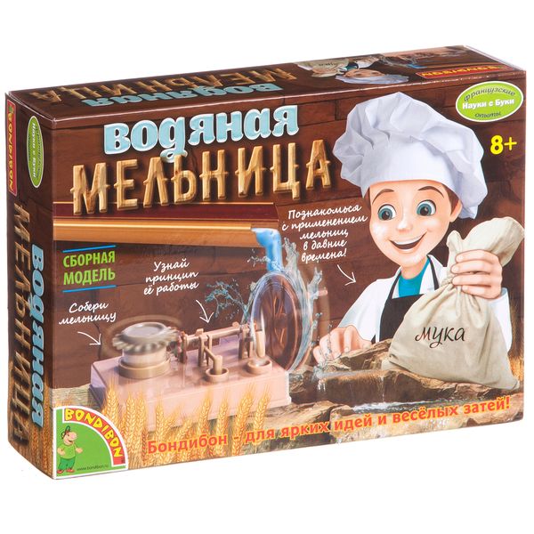 ��� ������� � ������� ����� c ������ Bondibon! ��������� ������������, ���������� � ���������� ����, ����� � ����� 