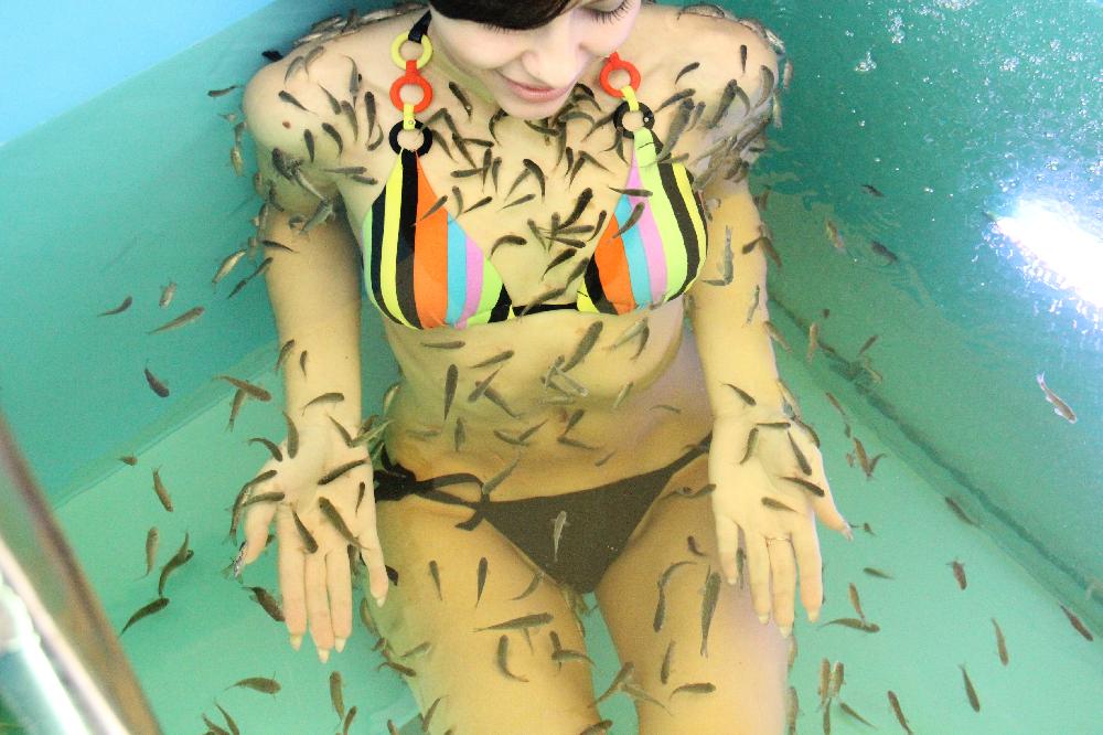 ������������ ������ ������� Garra Rufa �� �������� DoctorFISH - Exotic SPA.