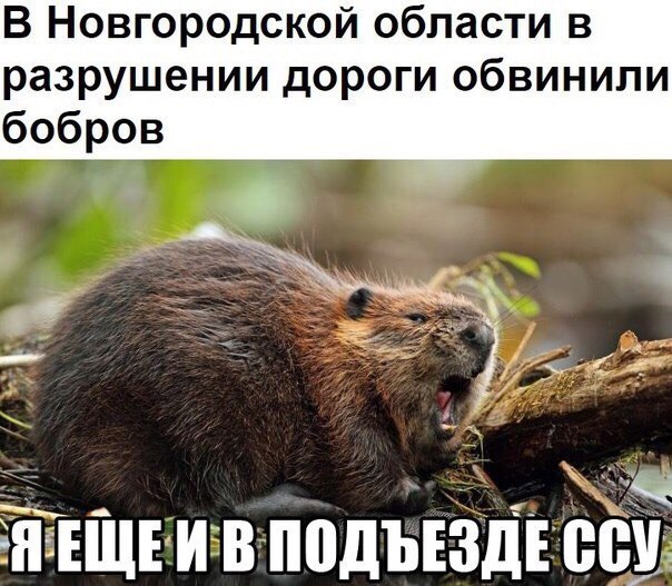 ������