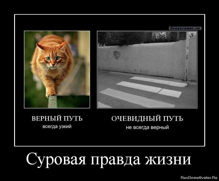 �������, ������ �� ������. �������, ���� �� ������ �����...