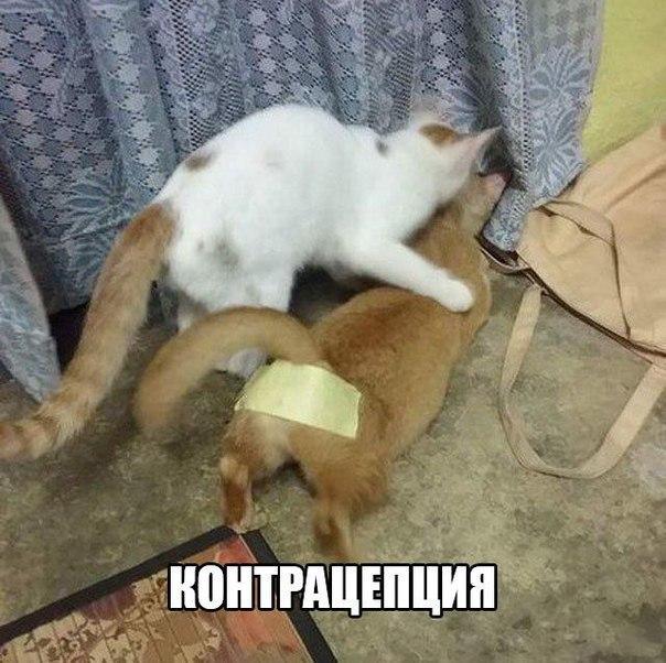 �����