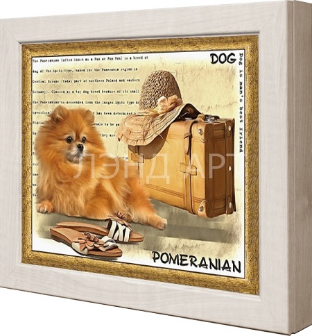 ���� �������. ������������ � ����������� �������. �����������, ��������. ����� ����-�����. ��������� ��������. ��������� �������. ����������� ������� ����� �� ������ �� ����������. ��������� ����.�����-7