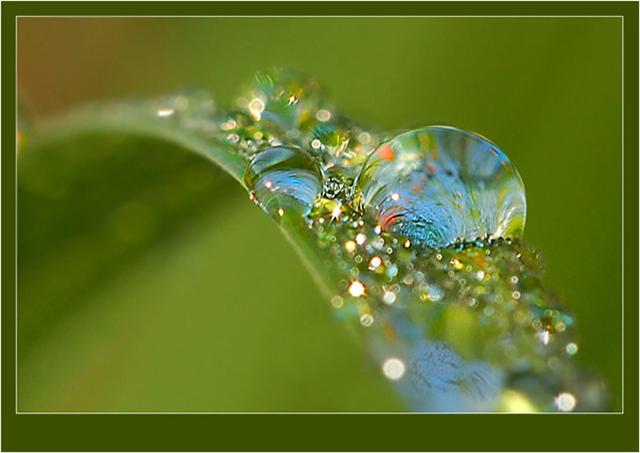 ���� �������. ������������ ������� �� ����� �� �������� -18. �������: ������������ �������� ��� ������ � ������, ��� ������ � ����������. ����������� ��������, ������ ����.