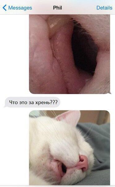 ������� ����