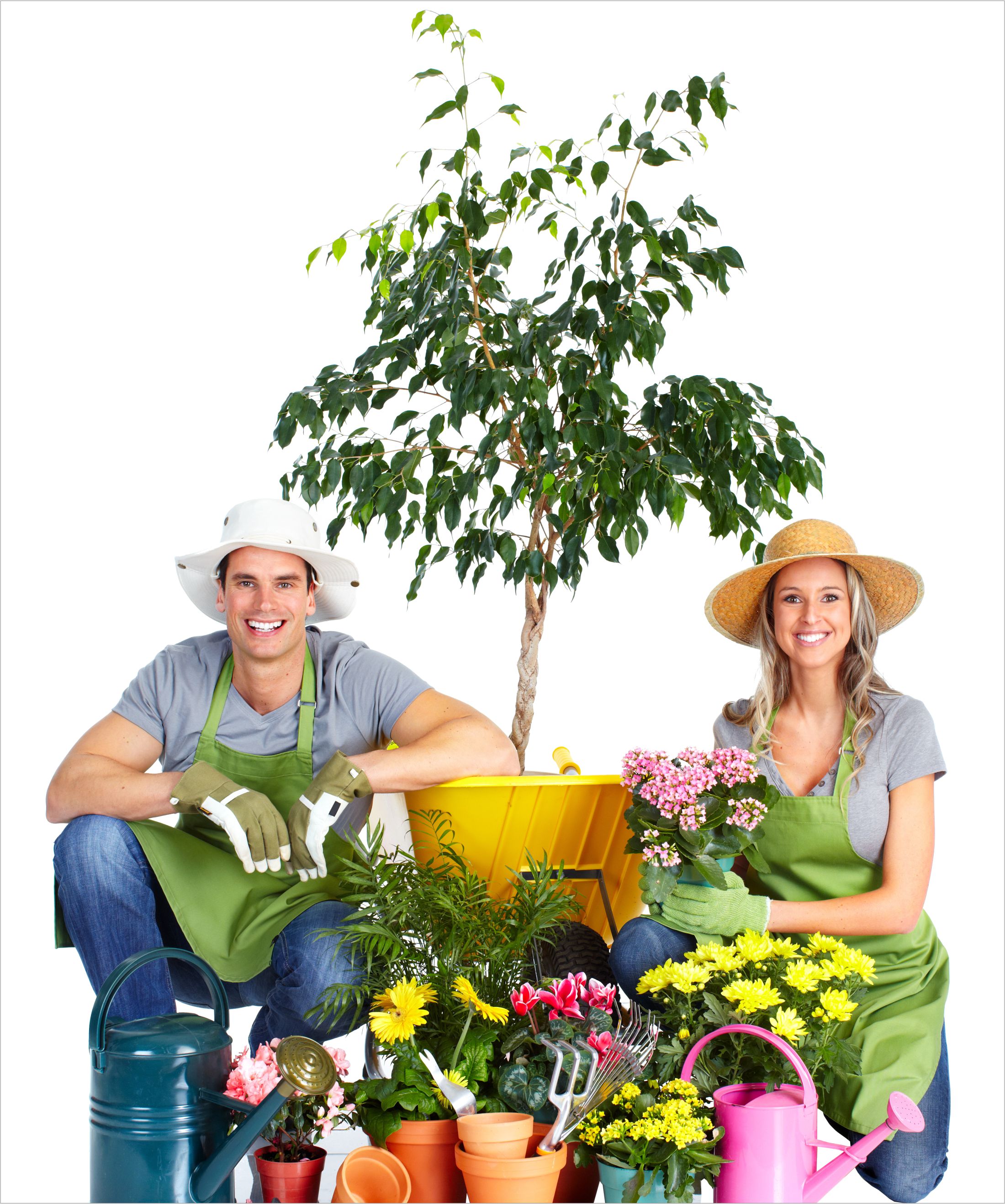 ���� �������. ��� seZona - ��� ��� ����, ���� � �������: �����������, �����, ���������, �������� ��������, �������� ����� � ������ ������! ����� 3. ���� 19 �������.