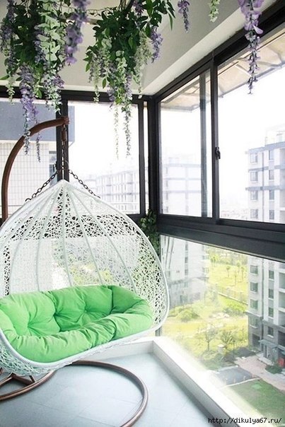 ���� ��� �������