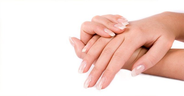 ����� ������� �����