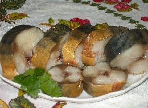 ����� �������� ��������