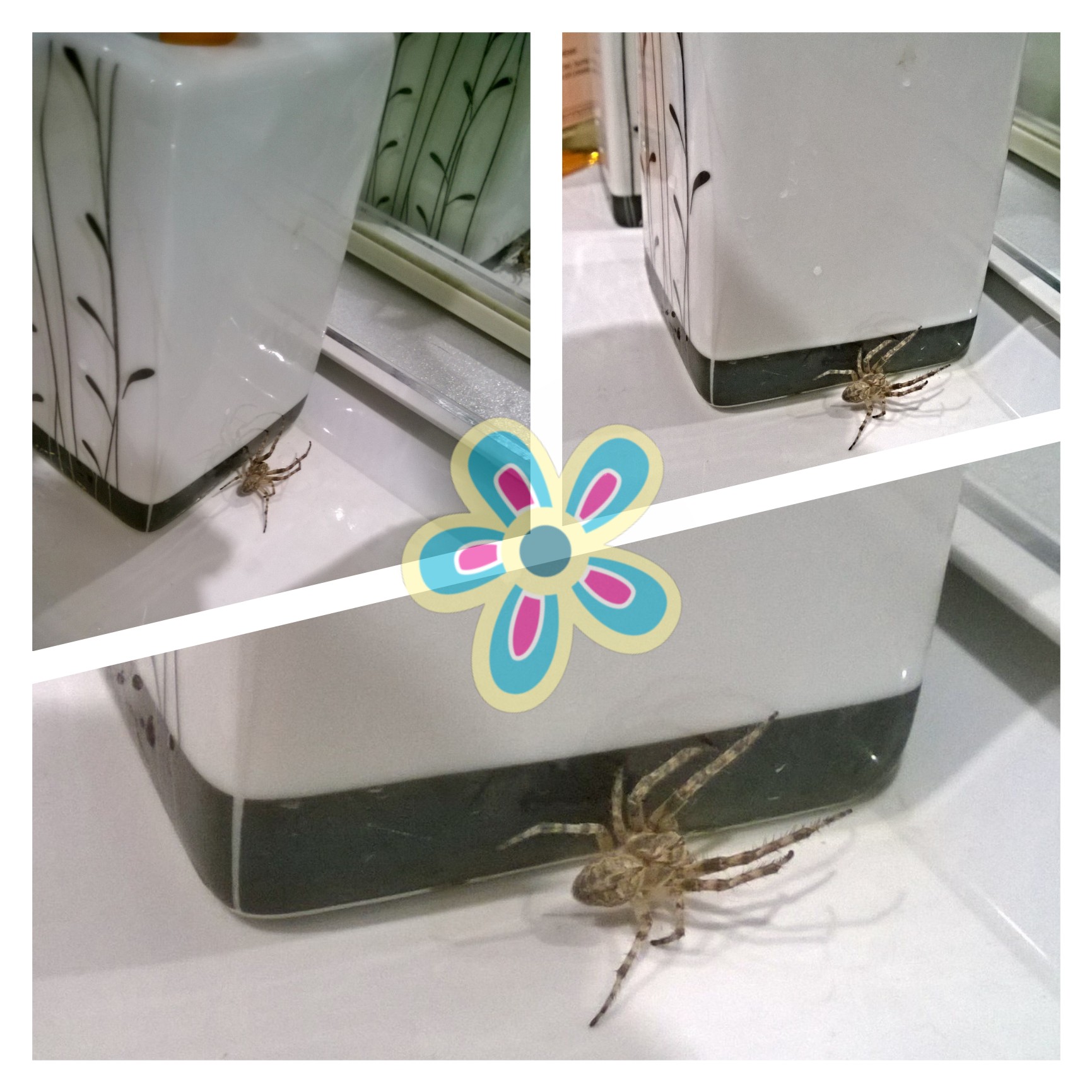 ������� �� ����... ������ ����������� - ����� ������ �����...