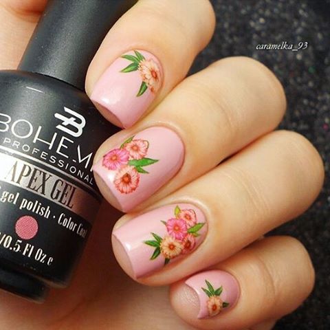 ���� �������. Bohemia - ������� ������� �� ���������� ������ � ����������� Swarovski, ���� -������� Big5free, ���������