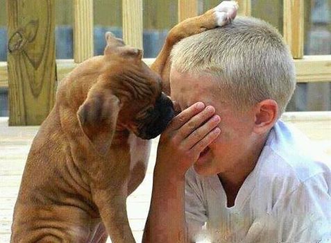 �������, ������� � �����!