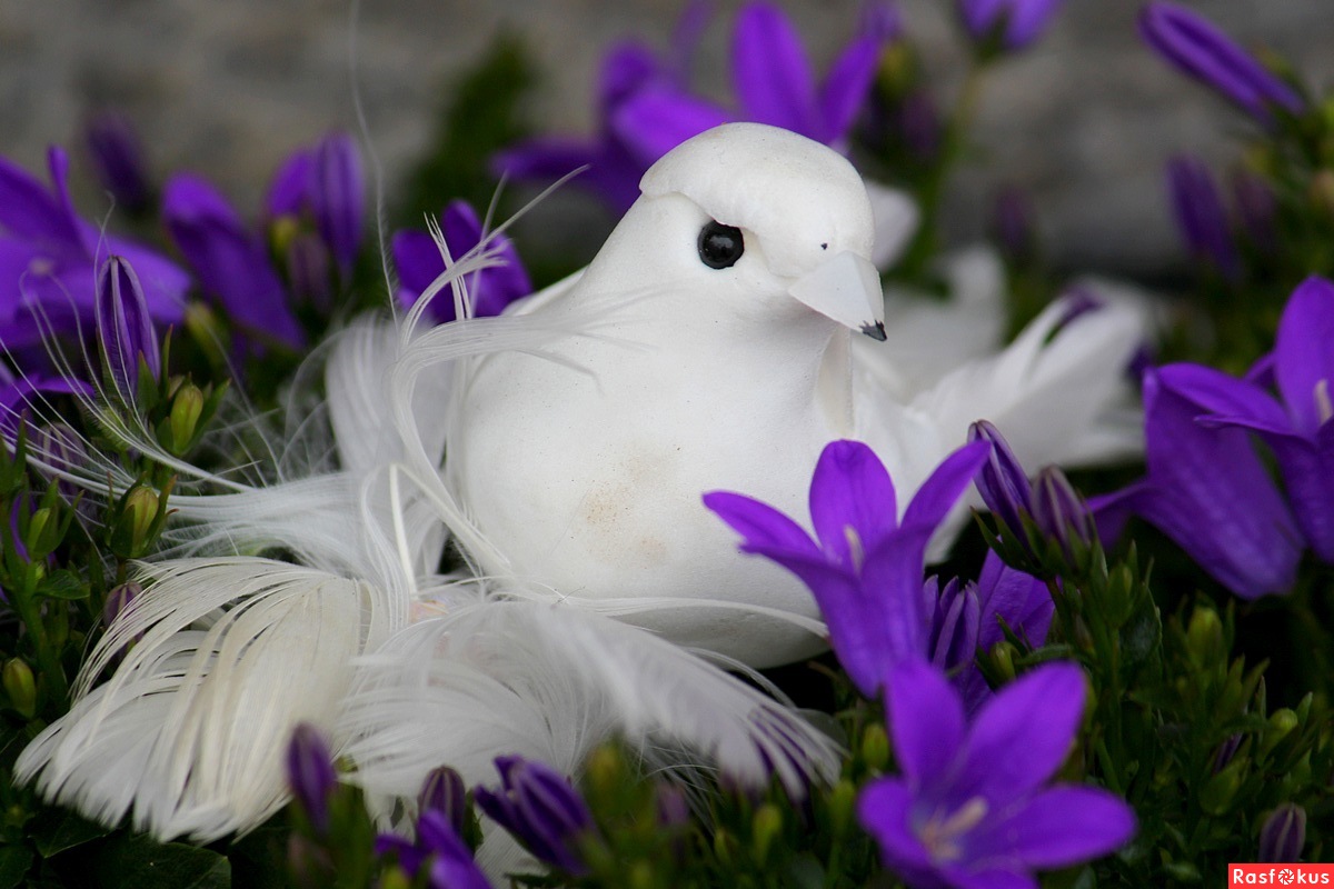 ��� ������� �����������, ��� ��� � ����...