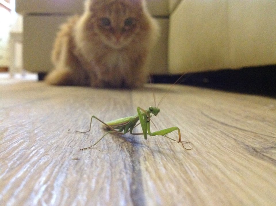 � ������� ����� �� �������� ���������, � ������ ���������...