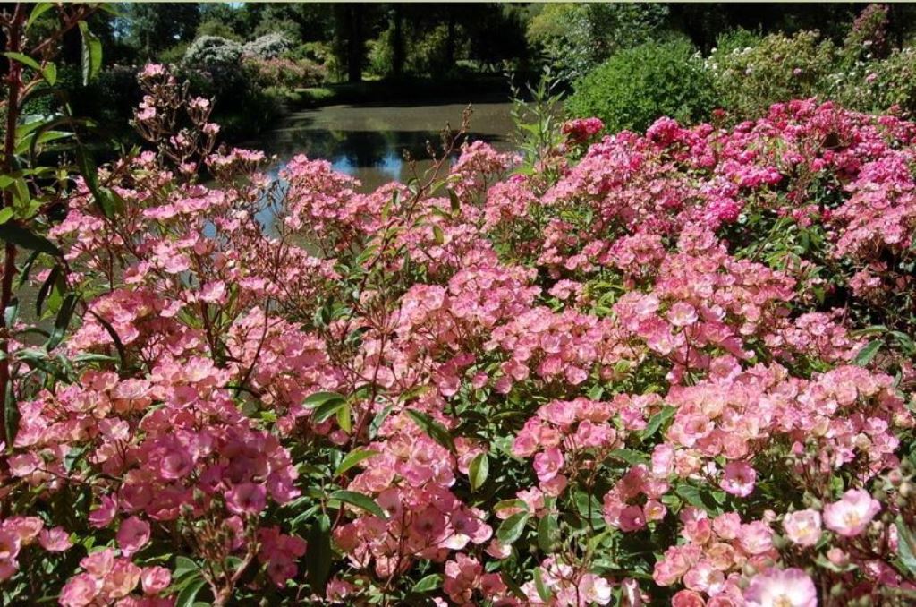 �������� ����. ������ ��� ���! ������� ��� � ����������� 5� �� ���������� ����������.