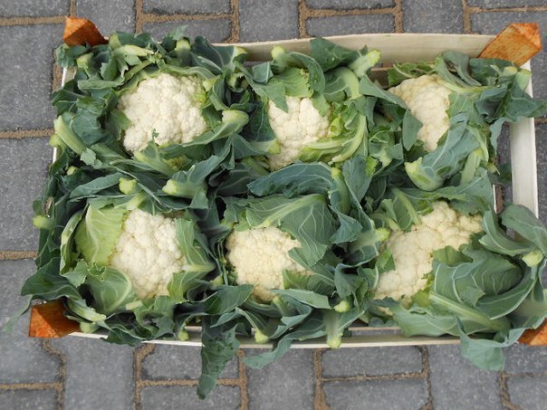 ��� ��������� ������� ������� ������ � �������!