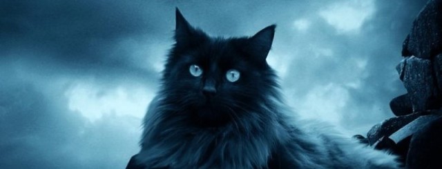 ������� ��� ����� - ����� ������ � ���������