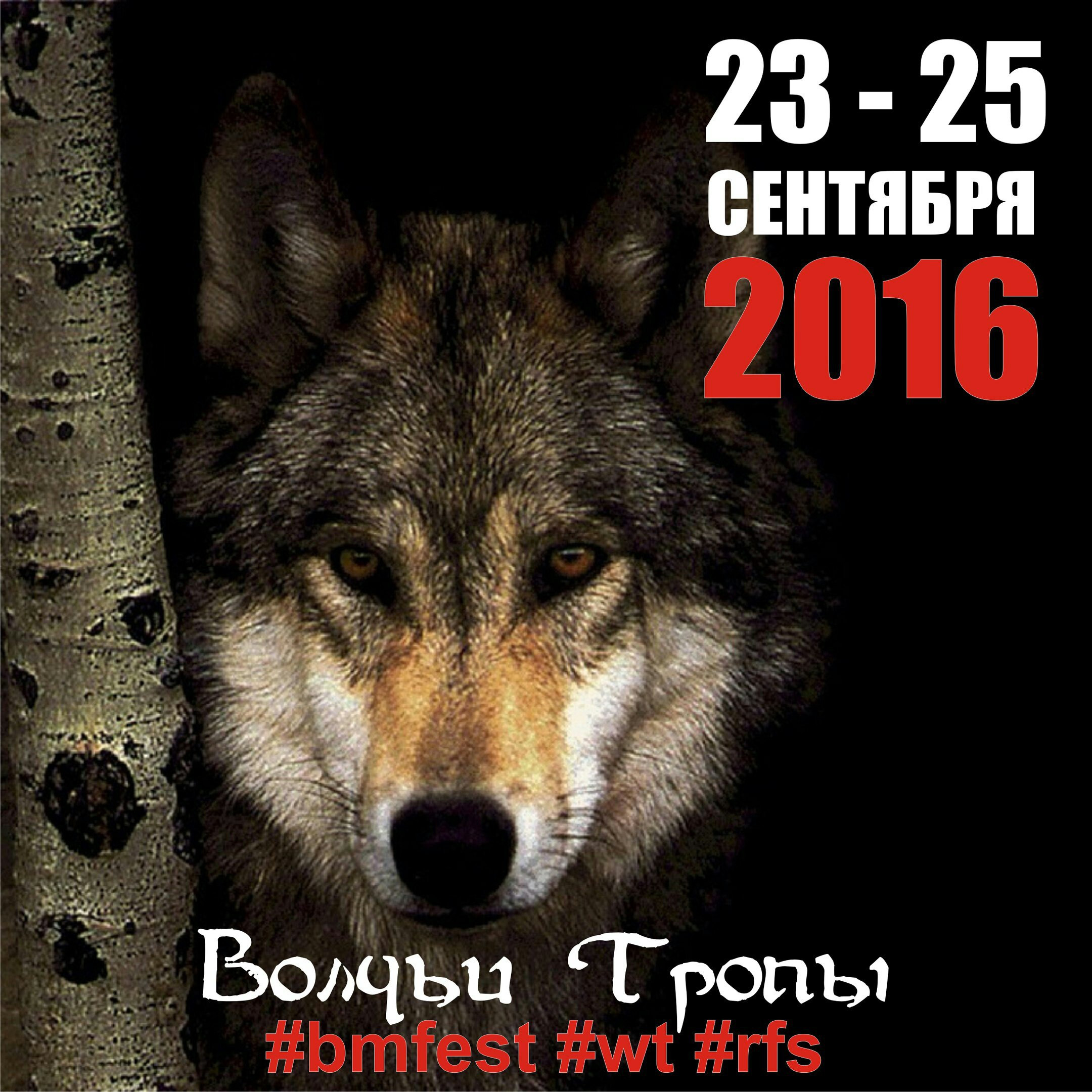 ������ ����� - 2016