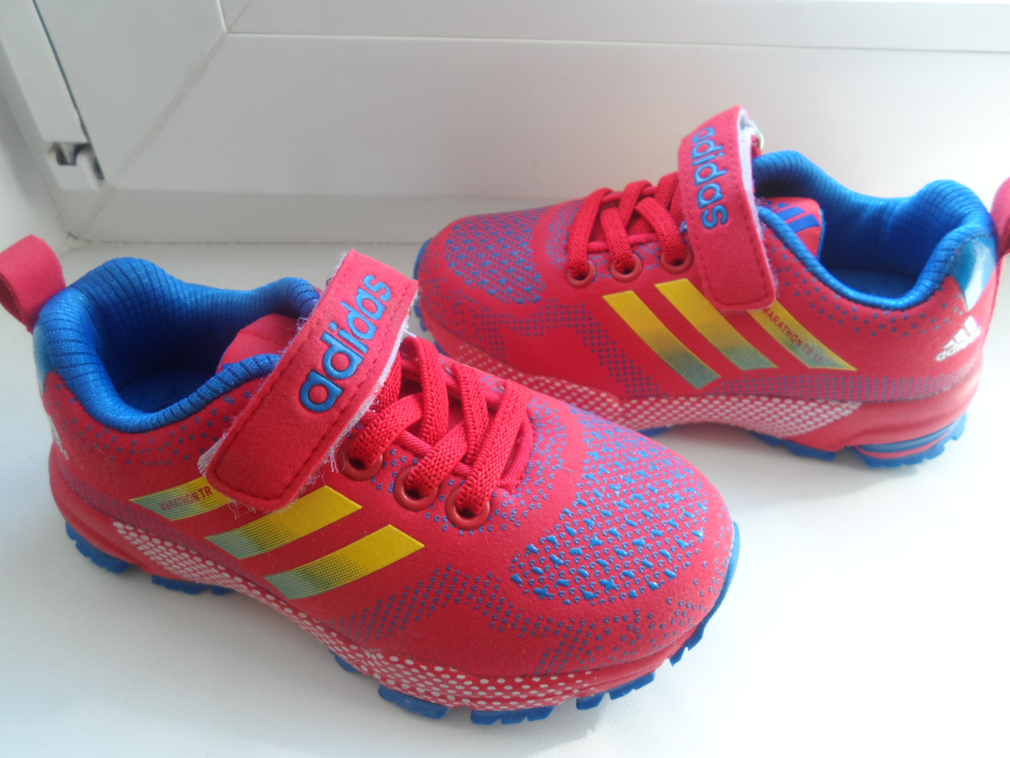 �������� ����� �������� �� ���������� � �� ������, ������� 31 �������! ������ �� ��������!