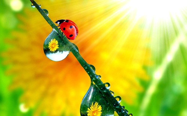 ��� ��������! ��������� � �� ��� �������� - 42 !