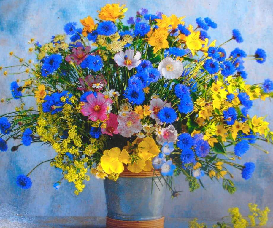 ���� �����, �������� � �������� ������...