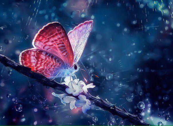 �����������- ��� �� �����, ����� ��� �� ����....